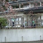 除染作業　郡山市熱海町玉川地区
　
(共立・武田除染組合)